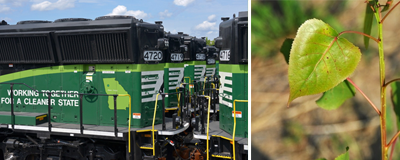 Trees and Trains