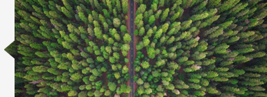 Go Green
