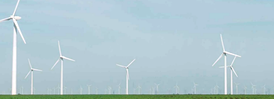 Go Green